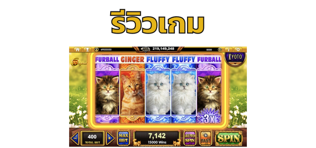 รีวิวเกม Pop Kittens